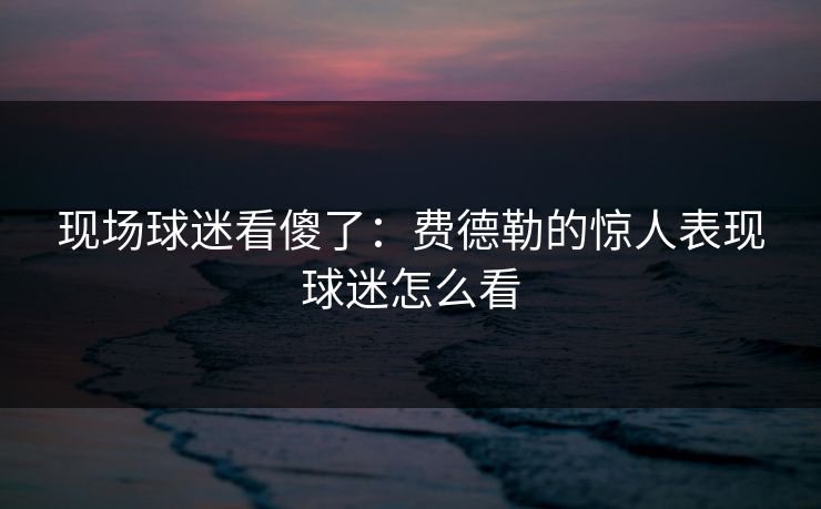 现场球迷看傻了：费德勒的惊人表现球迷怎么看